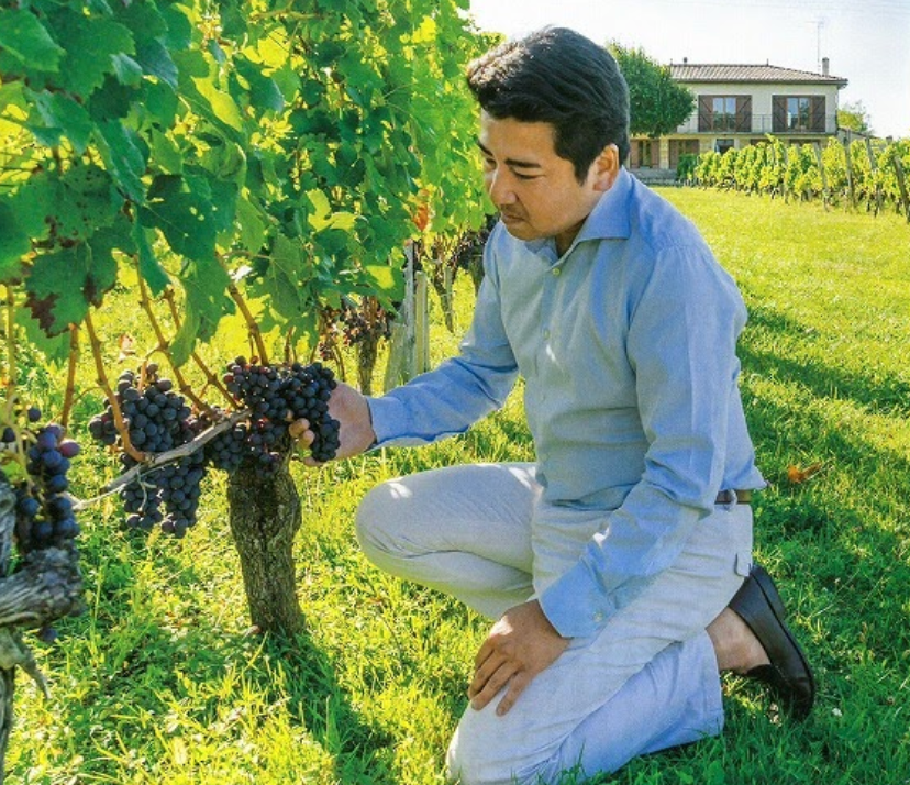 11月ワインテイスティングのご案内 / November Wine Tasting Invitation