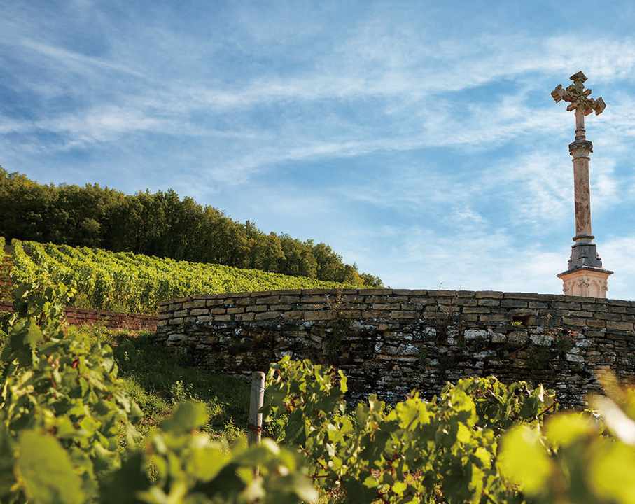 メゾン・ルイ・ラトゥールワインディナー | Maison Louis Latour Wine Dinner