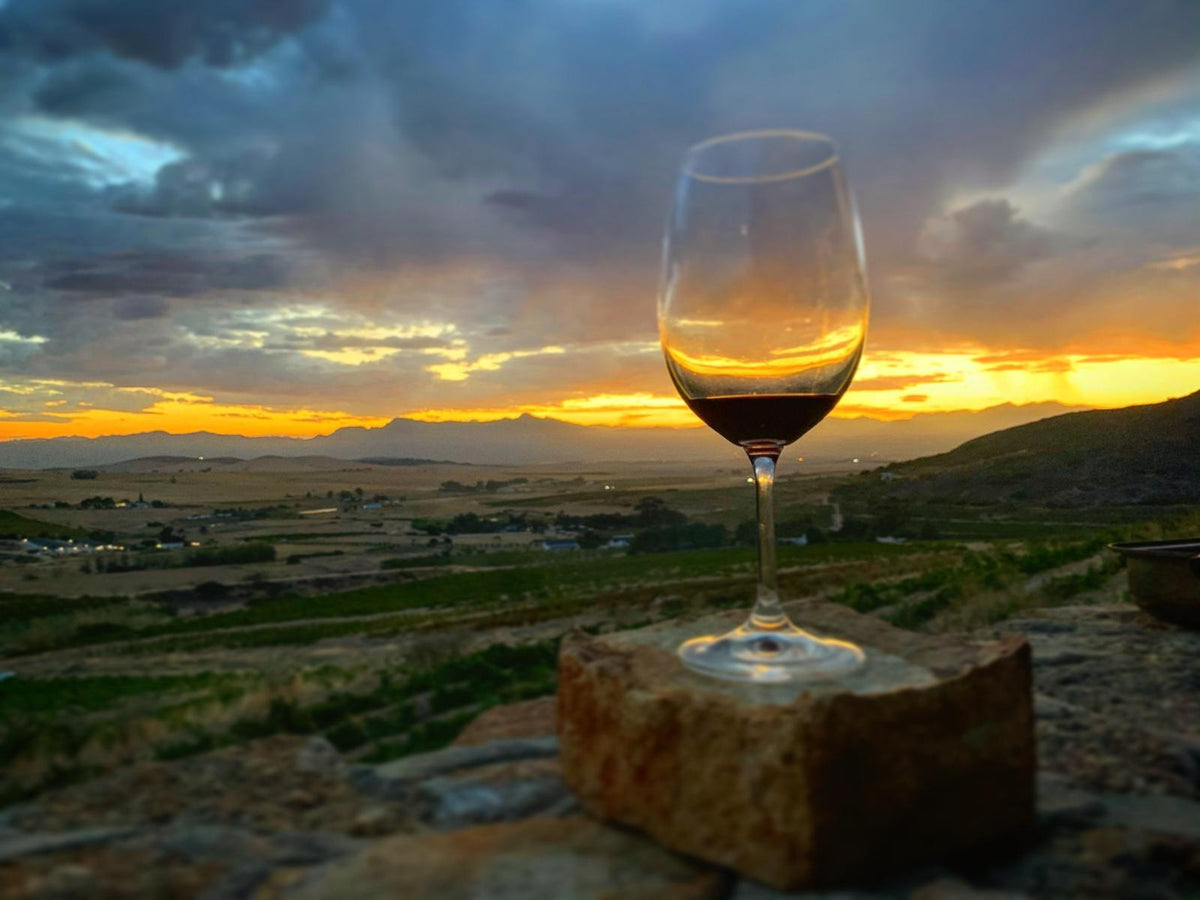 南アフリカ、テロワールの旅 | South African Wine Discovery